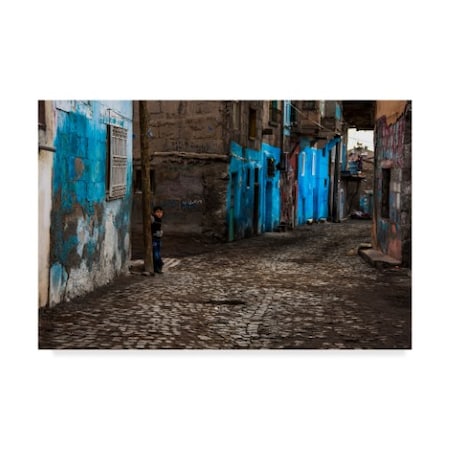 Ramiz Sahin 'My Street' Canvas Art,30x47